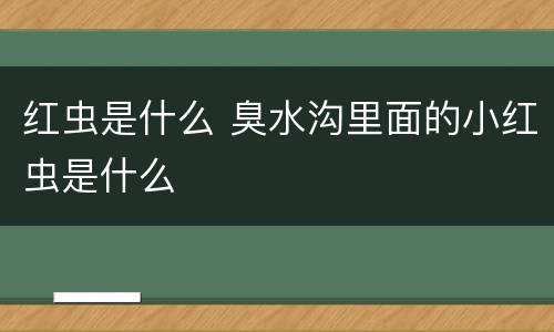 红虫是什么 臭水沟里面的小红虫是什么