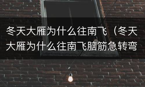 冬天大雁为什么往南飞（冬天大雁为什么往南飞脑筋急转弯）