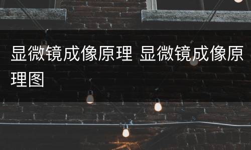 显微镜成像原理 显微镜成像原理图