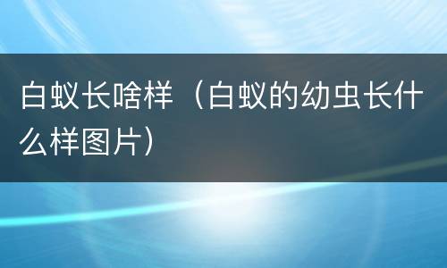 白蚁长啥样（白蚁的幼虫长什么样图片）