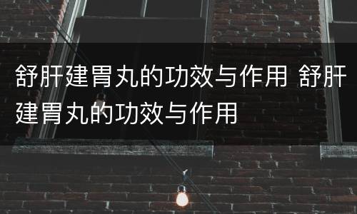舒肝建胃丸的功效与作用 舒肝建胃丸的功效与作用