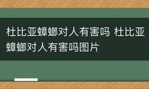 杜比亚蟑螂对人有害吗 杜比亚蟑螂对人有害吗图片