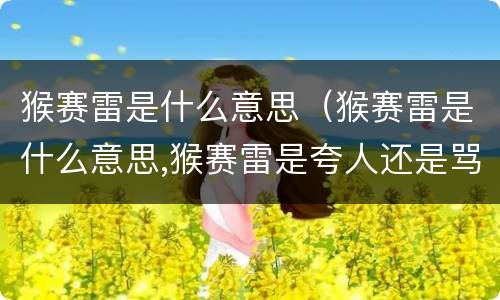 猴赛雷是什么意思（猴赛雷是什么意思,猴赛雷是夸人还是骂人）