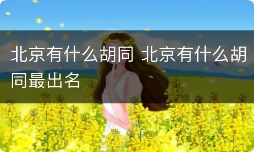 北京有什么胡同 北京有什么胡同最出名