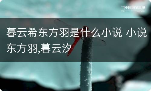 暮云希东方羽是什么小说 小说东方羽,暮云汐