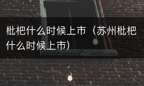 枇杷什么时候上市（苏州枇杷什么时候上市）