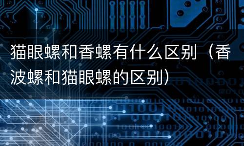 猫眼螺和香螺有什么区别（香波螺和猫眼螺的区别）