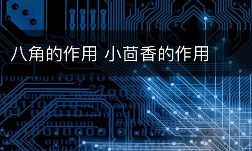 八角的作用 小茴香的作用