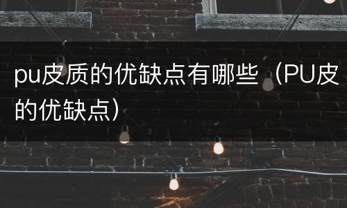 pu皮质的优缺点有哪些（PU皮的优缺点）