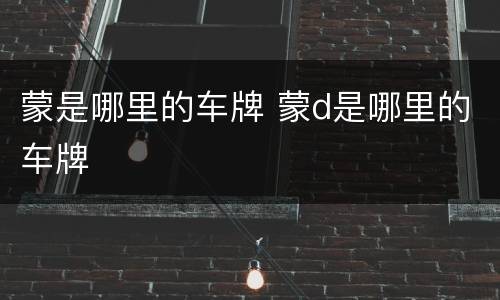蒙是哪里的车牌 蒙d是哪里的车牌