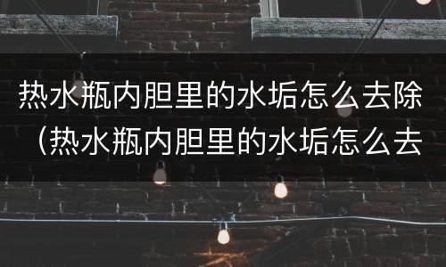 热水瓶内胆里的水垢怎么去除（热水瓶内胆里的水垢怎么去除化学方程式）