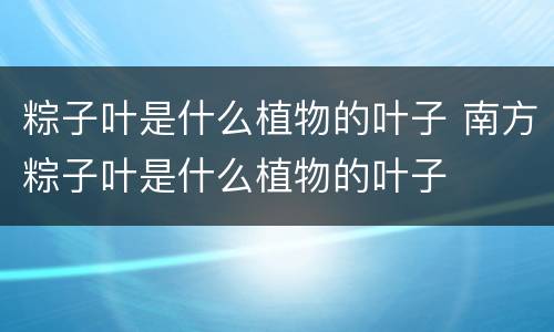 粽子叶是什么植物的叶子 南方粽子叶是什么植物的叶子