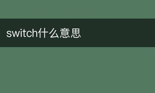 switch什么意思