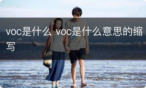 voc是什么 voc是什么意思的缩写