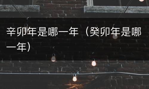 辛卯年是哪一年（癸卯年是哪一年）