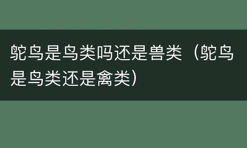 鸵鸟是鸟类吗还是兽类（鸵鸟是鸟类还是禽类）