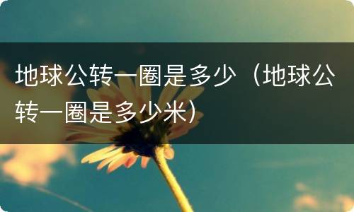 地球公转一圈是多少（地球公转一圈是多少米）