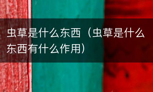 虫草是什么东西（虫草是什么东西有什么作用）