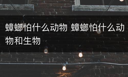 蟑螂怕什么动物 蟑螂怕什么动物和生物