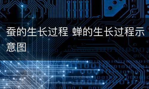 蚕的生长过程 蝉的生长过程示意图