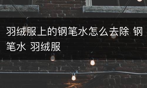 羽绒服上的钢笔水怎么去除 钢笔水 羽绒服