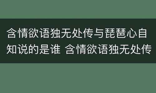 含情欲语独无处传与琵琶心自知说的是谁 含情欲语独无处传与琵琶心自知写的什么人