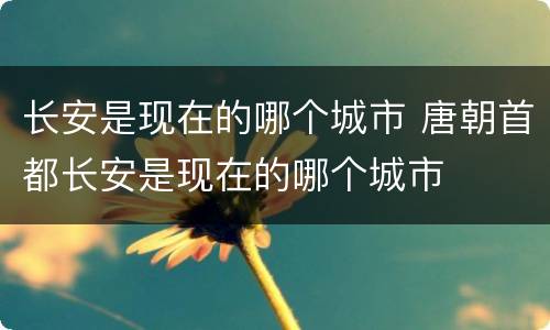 长安是现在的哪个城市 唐朝首都长安是现在的哪个城市