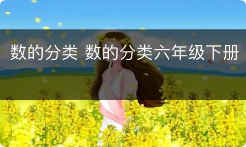 数的分类 数的分类六年级下册