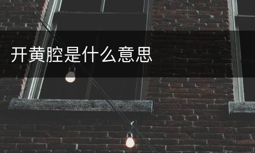 开黄腔是什么意思
