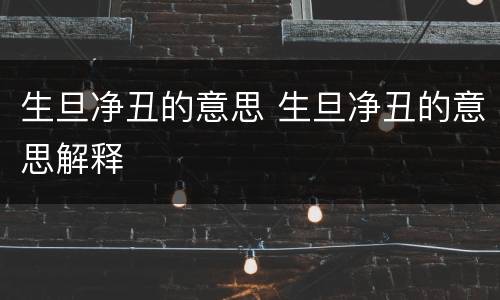 生旦净丑的意思 生旦净丑的意思解释
