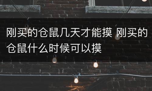 刚买的仓鼠几天才能摸 刚买的仓鼠什么时候可以摸