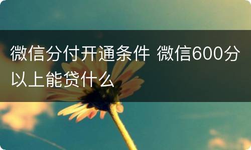 微信分付开通条件 微信600分以上能贷什么