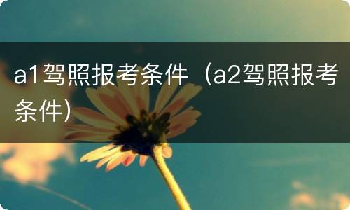 a1驾照报考条件（a2驾照报考条件）