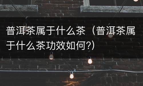 普洱茶属于什么茶（普洱茶属于什么茶功效如何?）