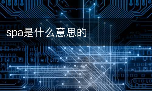 spa是什么意思的