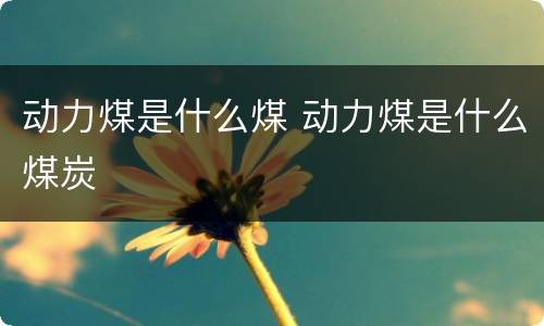动力煤是什么煤 动力煤是什么煤炭
