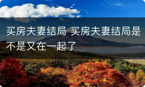 买房夫妻结局 买房夫妻结局是不是又在一起了