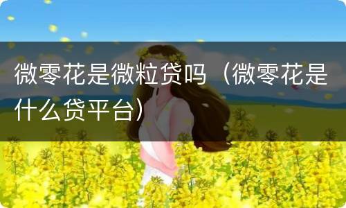 微零花是微粒贷吗（微零花是什么贷平台）