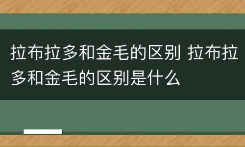 拉布拉多和金毛的区别 拉布拉多和金毛的区别是什么