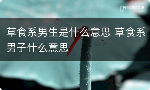 草食系男生是什么意思 草食系男子什么意思