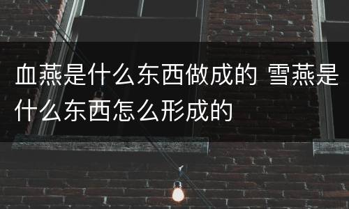 血燕是什么东西做成的 雪燕是什么东西怎么形成的