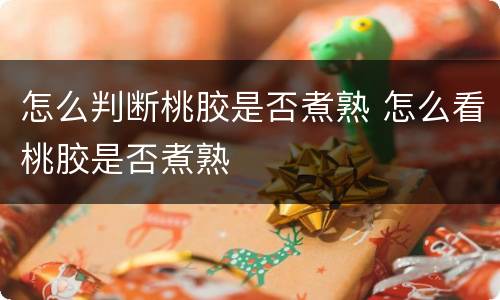 怎么判断桃胶是否煮熟 怎么看桃胶是否煮熟