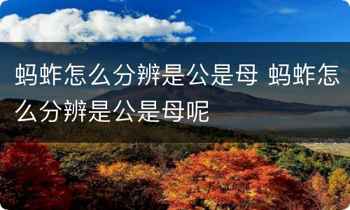 蚂蚱怎么分辨是公是母 蚂蚱怎么分辨是公是母呢