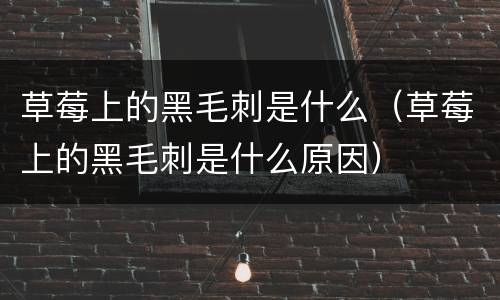 草莓上的黑毛刺是什么（草莓上的黑毛刺是什么原因）