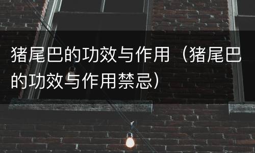 猪尾巴的功效与作用（猪尾巴的功效与作用禁忌）