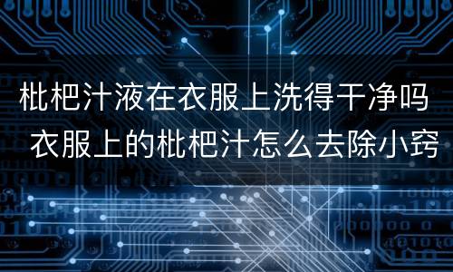 枇杷汁液在衣服上洗得干净吗 衣服上的枇杷汁怎么去除小窍门