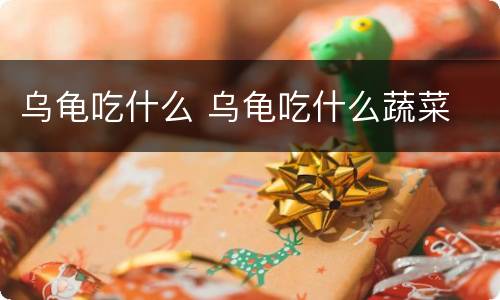 乌龟吃什么 乌龟吃什么蔬菜