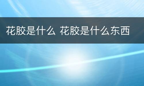花胶是什么 花胶是什么东西