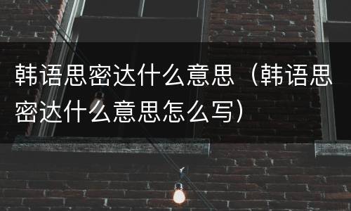 韩语思密达什么意思（韩语思密达什么意思怎么写）
