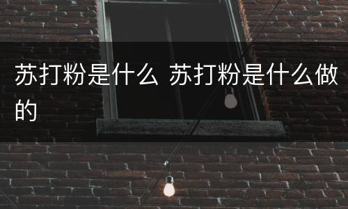 苏打粉是什么 苏打粉是什么做的